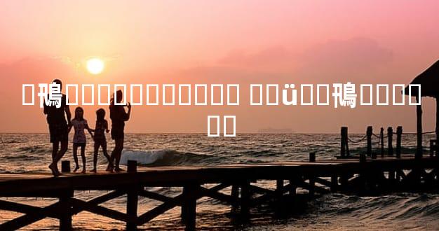 �鳵���޼۸���ϸ�� ��üɽ�鳵���޼۸�